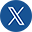 X Icon